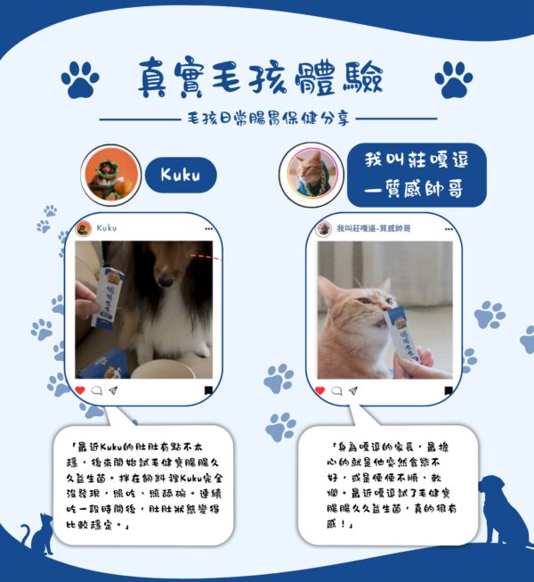 腸腸久久益生菌真實毛孩體驗 真實毛孩體驗,喜樂蒂Kuku與橘貓莊嘎逗日常補充腸腸久久益生菌的腸胃保健分享