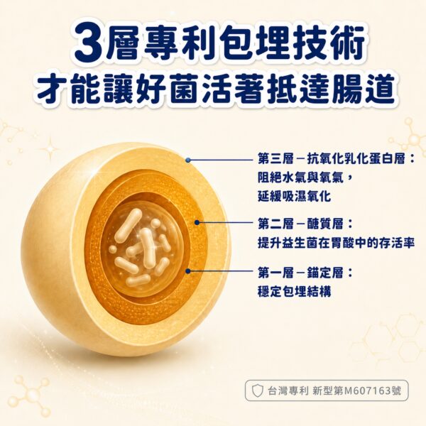SP137益生菌3層專利包埋技術剖面圖,讓好菌活著抵達腸道