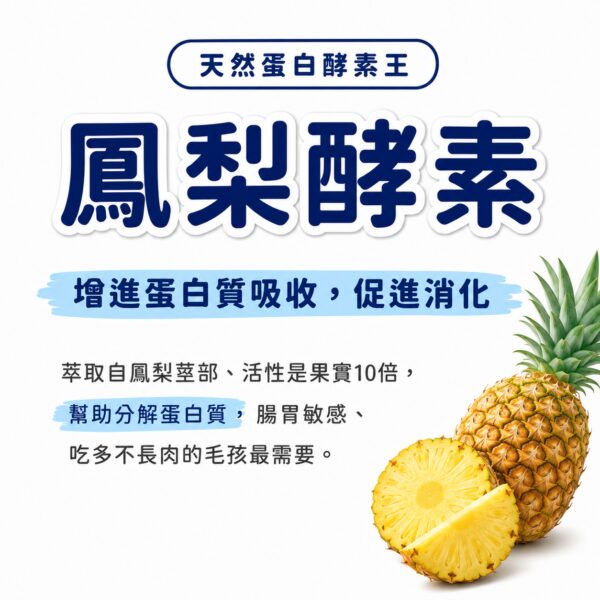 鳳梨酵素幫助分解蛋白質,日常輔助提升營養吸收效率