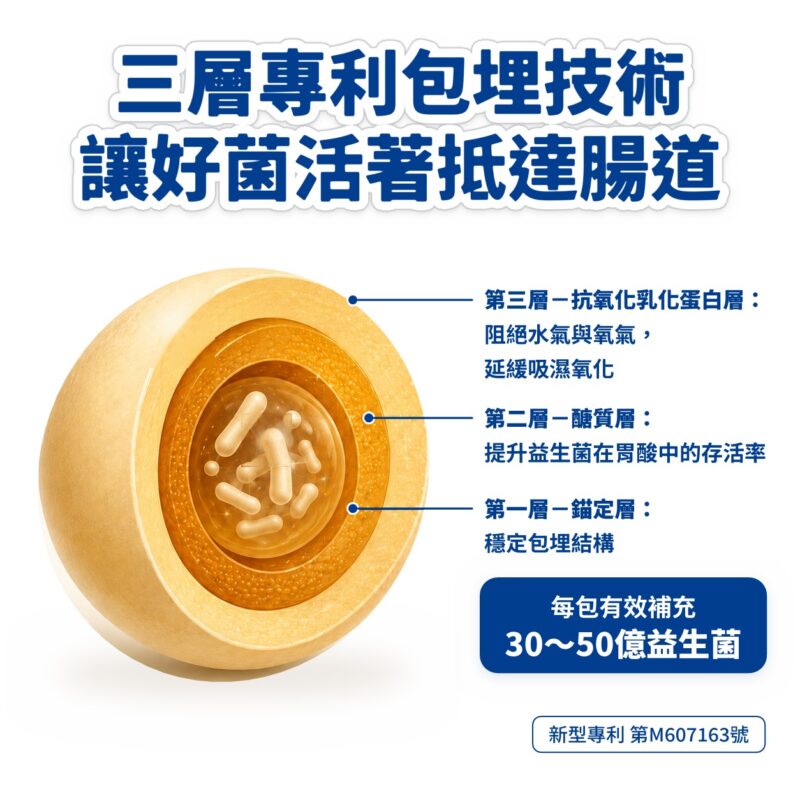 SP137益生菌三層包埋技術示意圖，耐酸層、耐鹽層與定殖層