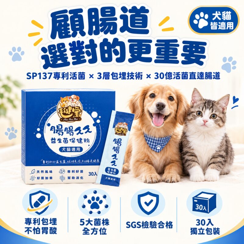 腸腸久久益生菌-SP137腸胃保健產品
