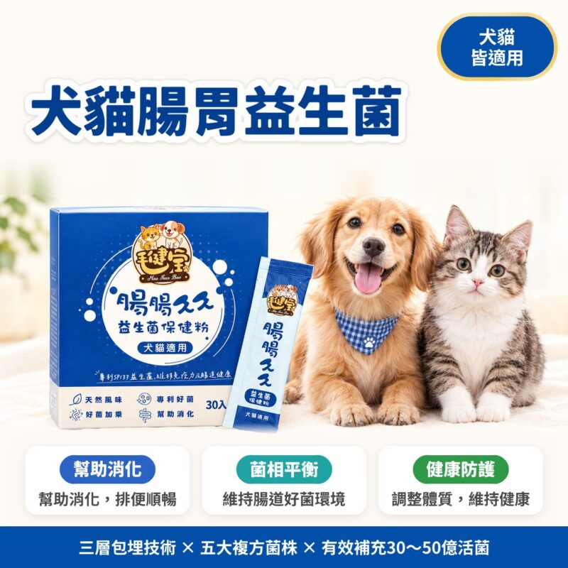 毛健寶腸腸久久益生菌產品圖，老貓日常腸道保健