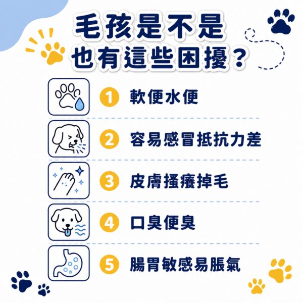 毛孩軟便、皮膚搔癢、口臭等5大腸道問題自我檢測清單