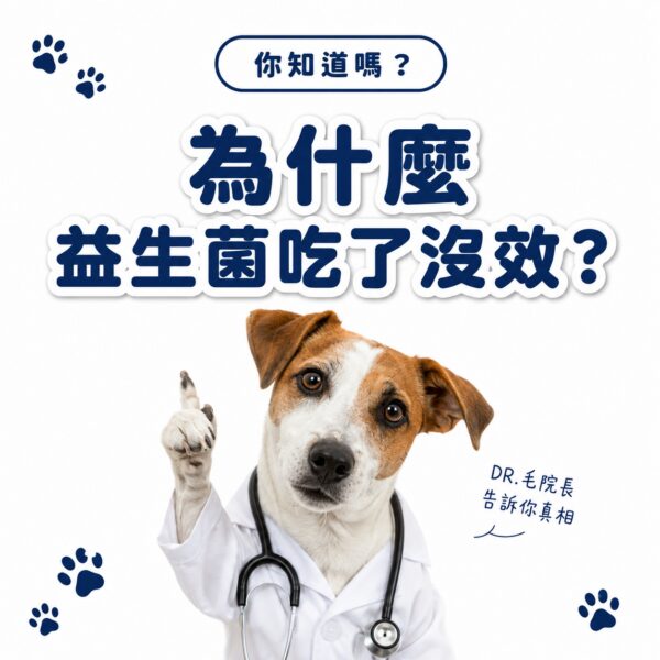 為什麼益生菌吃了沒效?DR毛院長告訴你真相-腸腸久久益生菌