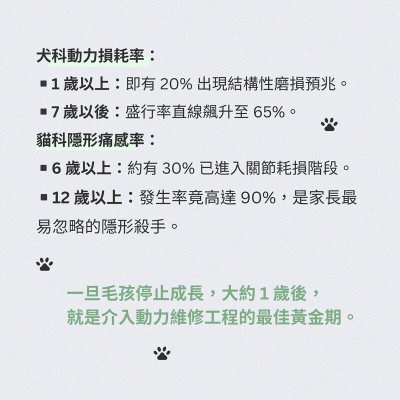 飼主討論分享：一歲後犬貓關節即開始承受壓力，可搭配MSM靈活配方日常補充