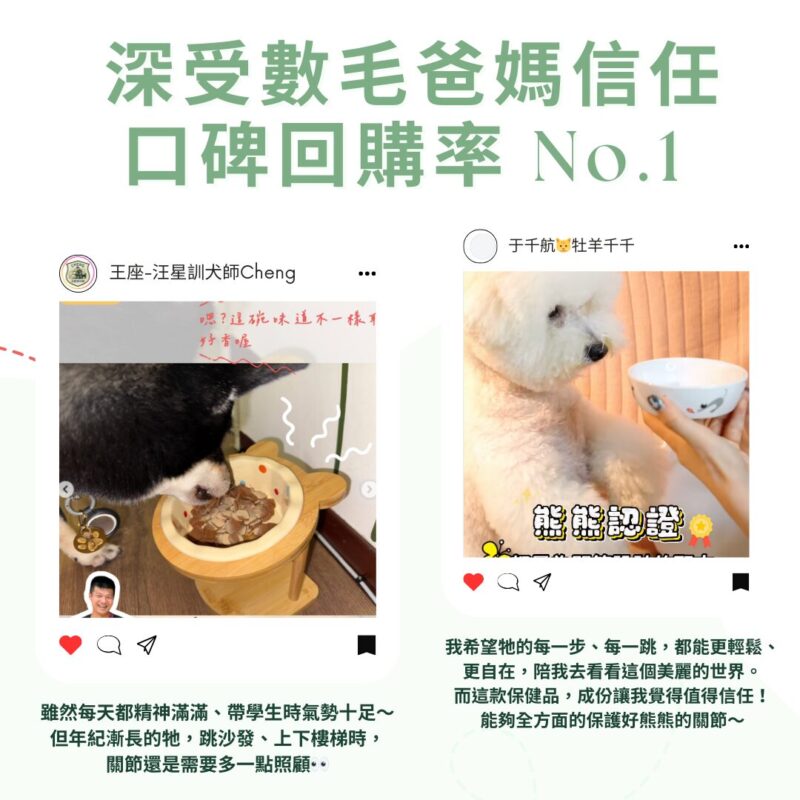 毛爸媽口碑回購分享：日常補充幫助老犬上下樓梯更輕鬆