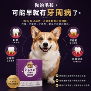 柯基犬搭配毛健寶口齒清新保健粉,標示狗狗牙周病常見警訊:口臭、牙菌斑、牙結石、牙齦發炎