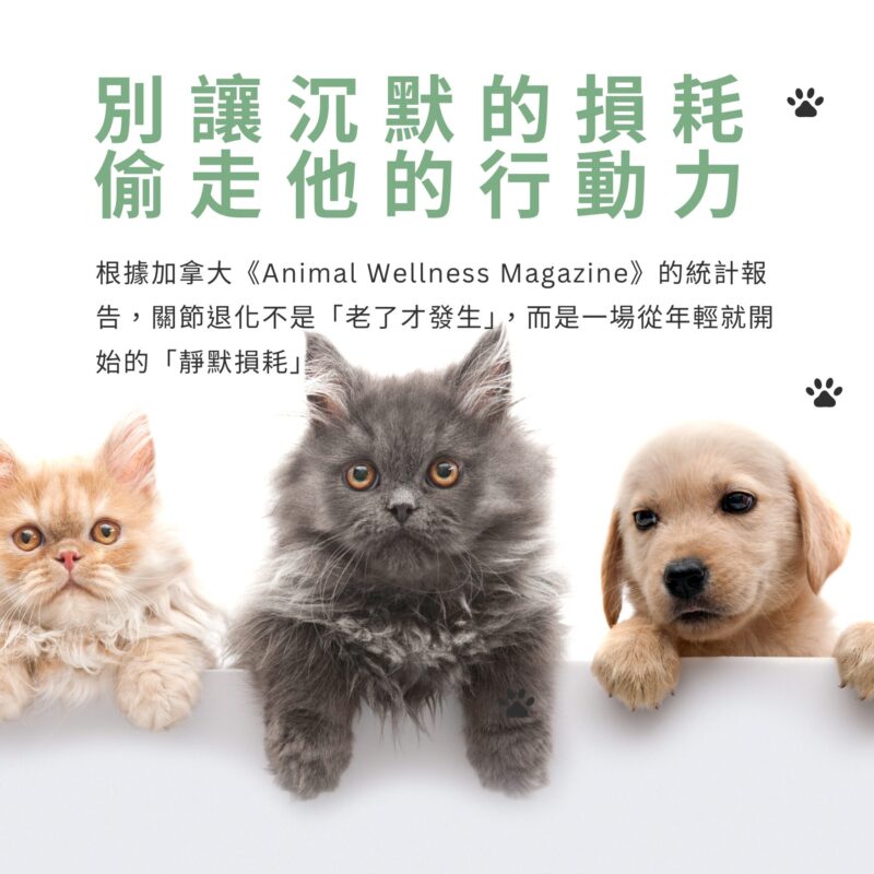 及早留意貓狗關節的靜默損耗，搭配美國專利UC-II與紐西蘭綠貽貝營養補充
