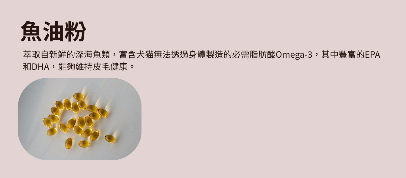 寵物皮毛保健
