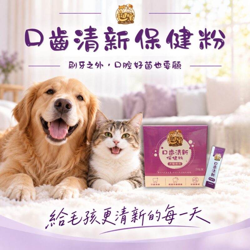 毛健寶口齒清新保健粉犬貓口腔保健粉，黃金獵犬與貓咪開心微笑，刷牙之外口腔好菌也要顧