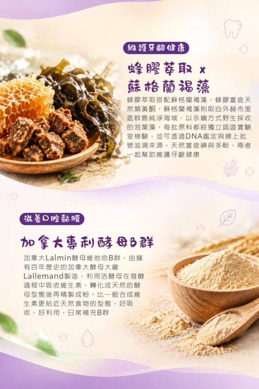 蜂膠萃取與蘇格蘭褐藻滋養牙齦環境，加拿大專利酵母B群滋養口腔黏膜