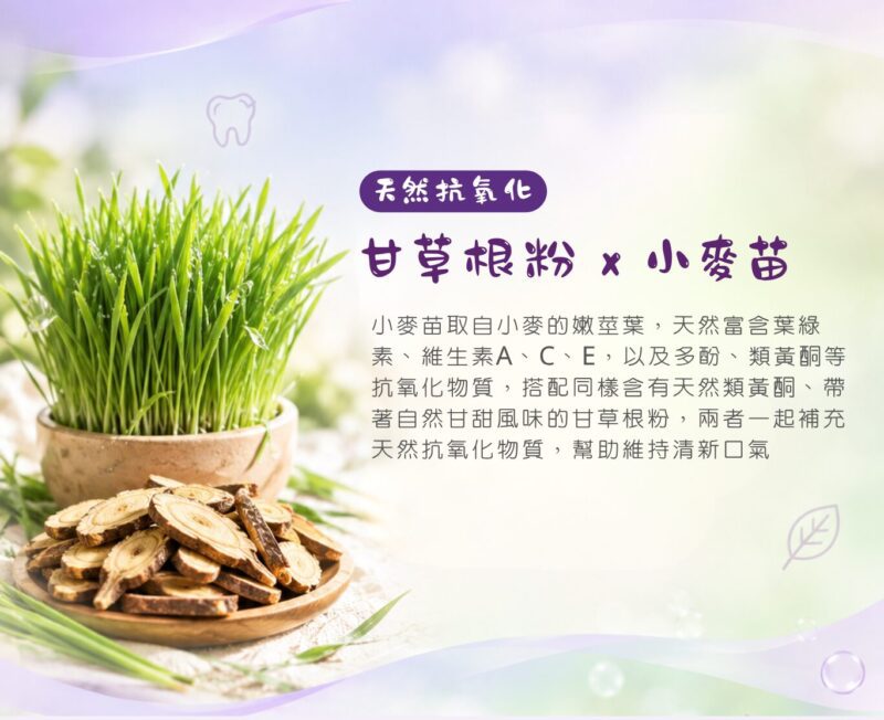 甘草根粉與小麥苗天然植萃，富含葉綠素、多酚與類黃酮，為毛孩口腔補足抗氧化防護