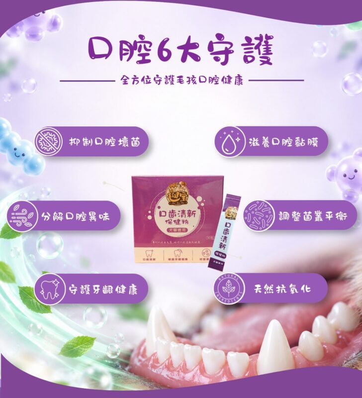 口腔6大守護，抑制口腔壞菌、分解口腔異味、守護牙齦健康、滋養口腔黏膜、調整菌叢平衡、天然抗氧化