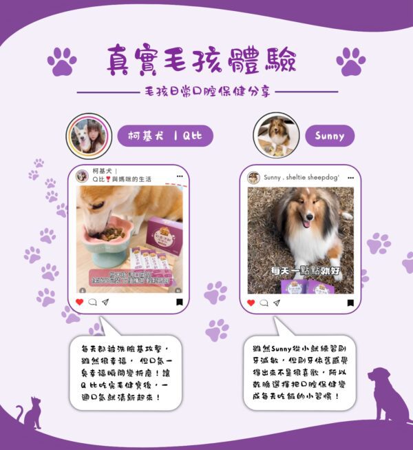 真實毛孩體驗，柯基Q比與喜樂蒂Sunny日常補充口齒清新保健粉的口腔保健分享