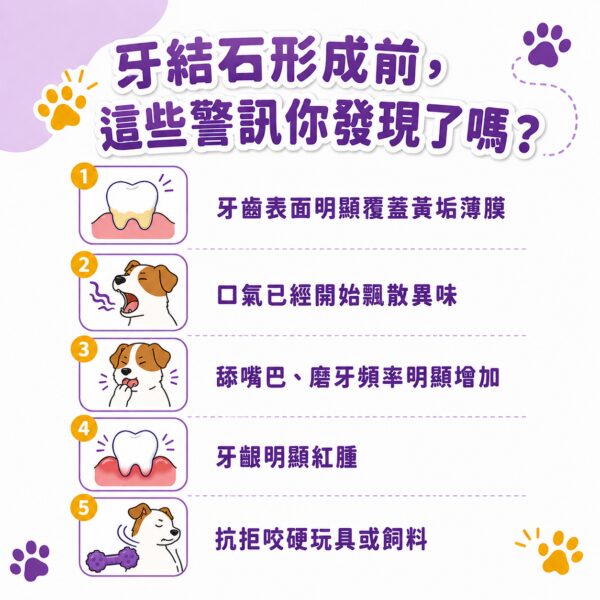 牙結石形成前5大警訊，黃垢薄膜口氣異味牙齦紅腫自我檢測