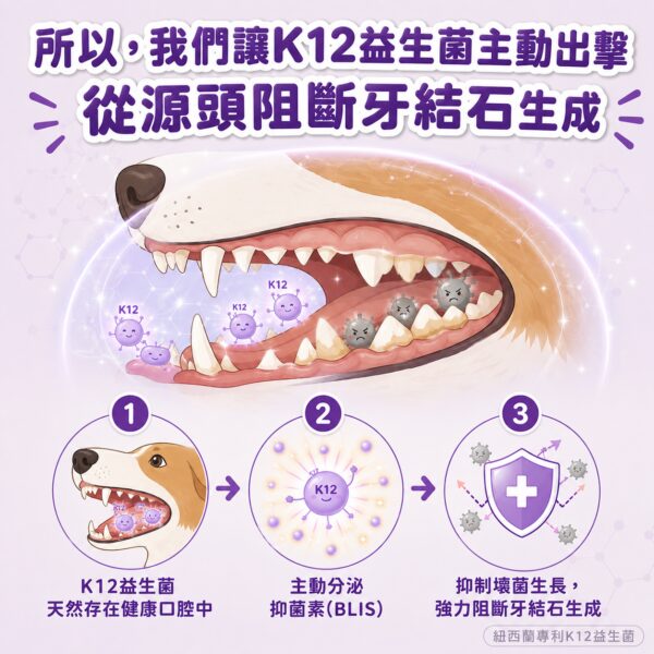 所以我們讓K12益生菌主動出擊，從源頭阻斷牙結石生成