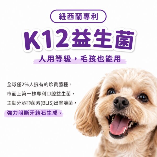 紐西蘭專利K12益生菌，全球僅2%人擁有人用等級毛孩也能用