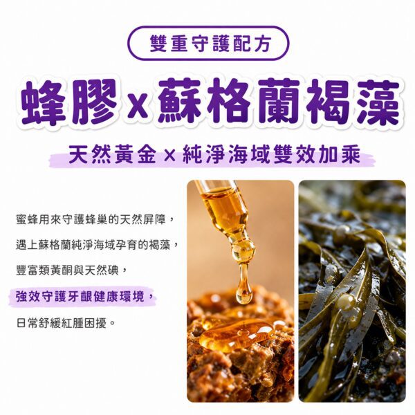 蜂膠萃取x蘇格蘭褐藻，天然黃金x純淨海域守護牙齦健康