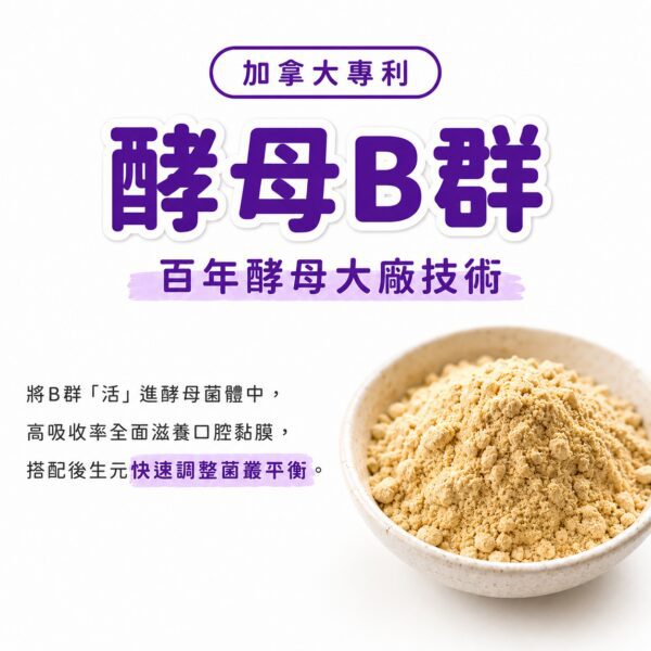 加拿大專利酵母B群，百年酵母大廠技術滋養口腔黏膜