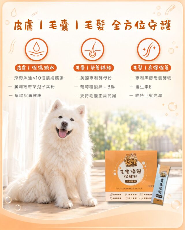 毛健寶毛光煥發保健粉犬貓皮毛保健,從皮膚、毛囊到毛髮全方位守護:深海魚油與鱉蛋粉、澳洲裙帶菜孢子葉粉幫助皮膚保濕鎖水,美國專利酵母粉、葡萄糖酸鋅與B群補給毛囊營養,專利黑酵母發酵物與維生素E維持毛髮光澤,白色薩摩耶犬與產品盒