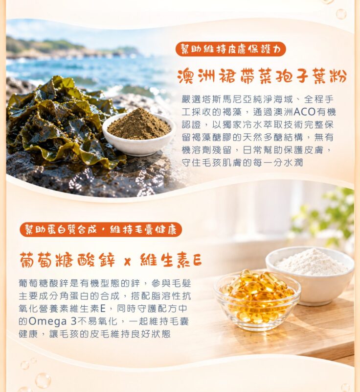澳洲裙帶菜孢子葉粉富含褐藻糖膠,葡萄糖酸鋅搭配維生素E抗氧化,維持毛色亮澤