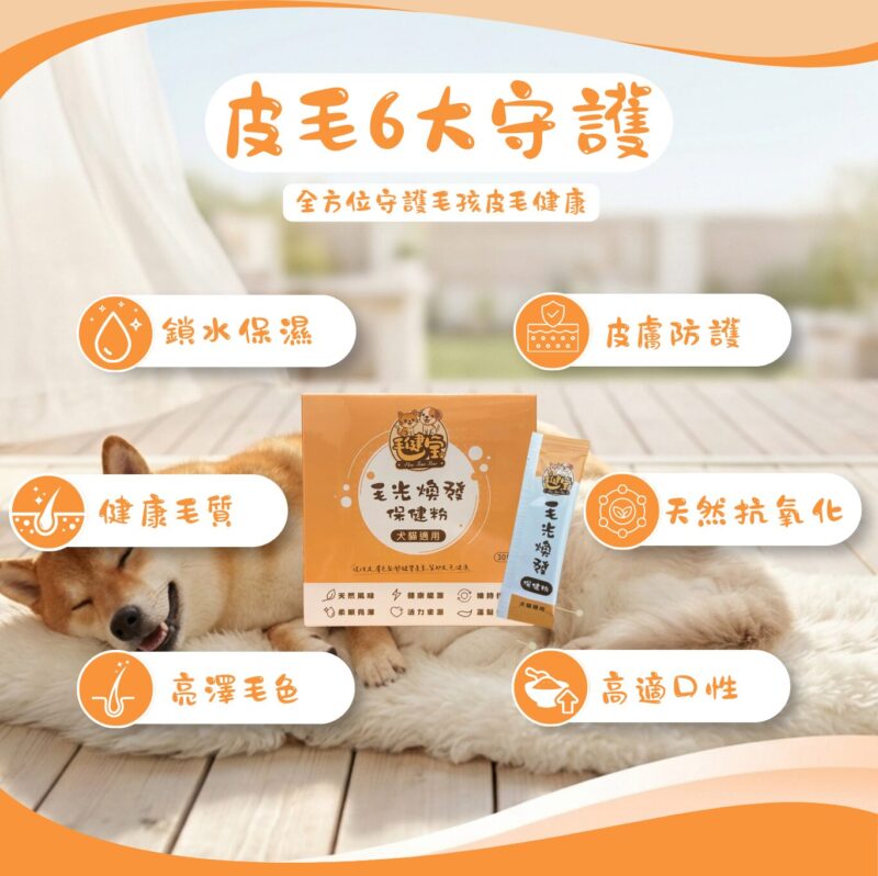 皮毛6大守護,鎖水保濕、皮膚防護、健康毛質、天然抗氧化、亮澤毛色、高適口性