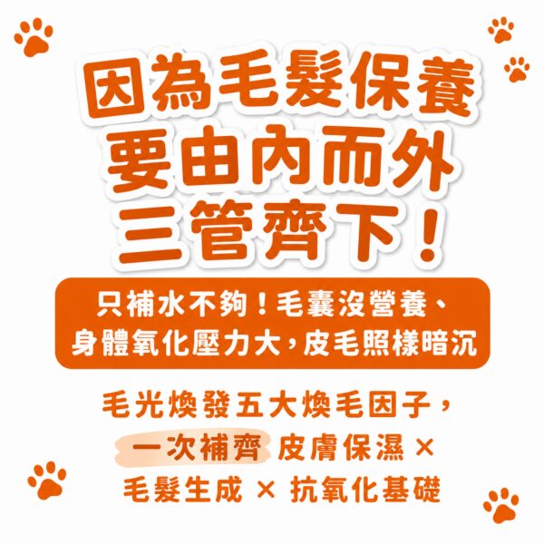 因為毛髮保養要由內而外三管齊下,毛光煥發一次補齊保濕生成抗氧化