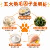 毛光煥發保健粉-五大煥毛因子總覽 五大煥毛因子全解析,鱉蛋魚油矽素褐藻糖膠鋅全方位守護犬貓皮毛