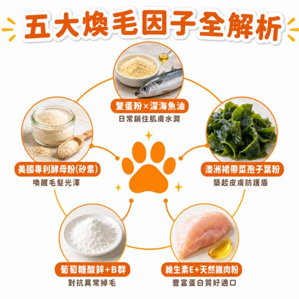 毛光煥發保健粉-五大煥毛因子總覽 五大煥毛因子全解析,鱉蛋魚油矽素褐藻糖膠鋅全方位守護犬貓皮毛