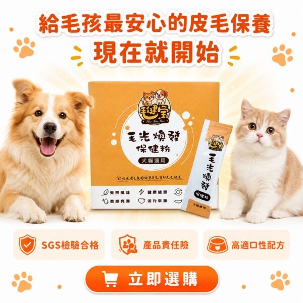 給毛孩最安心的皮毛保養現在就開始,毛光煥發保健粉立即選購