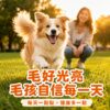 毛光煥發保健粉-毛孩健康生活情境 毛好光亮毛孩自信每一天,毛髮蓬鬆有光澤狗狗生活情境照