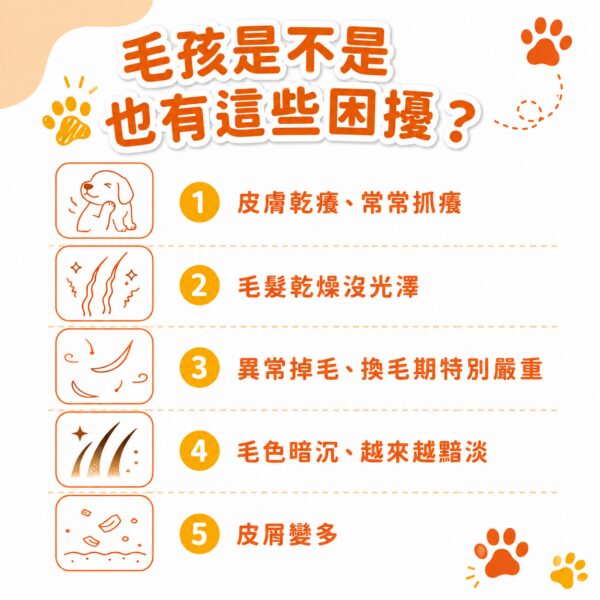 毛孩皮膚乾癢異常掉毛毛色暗沉等5大皮毛問題自我檢測清單