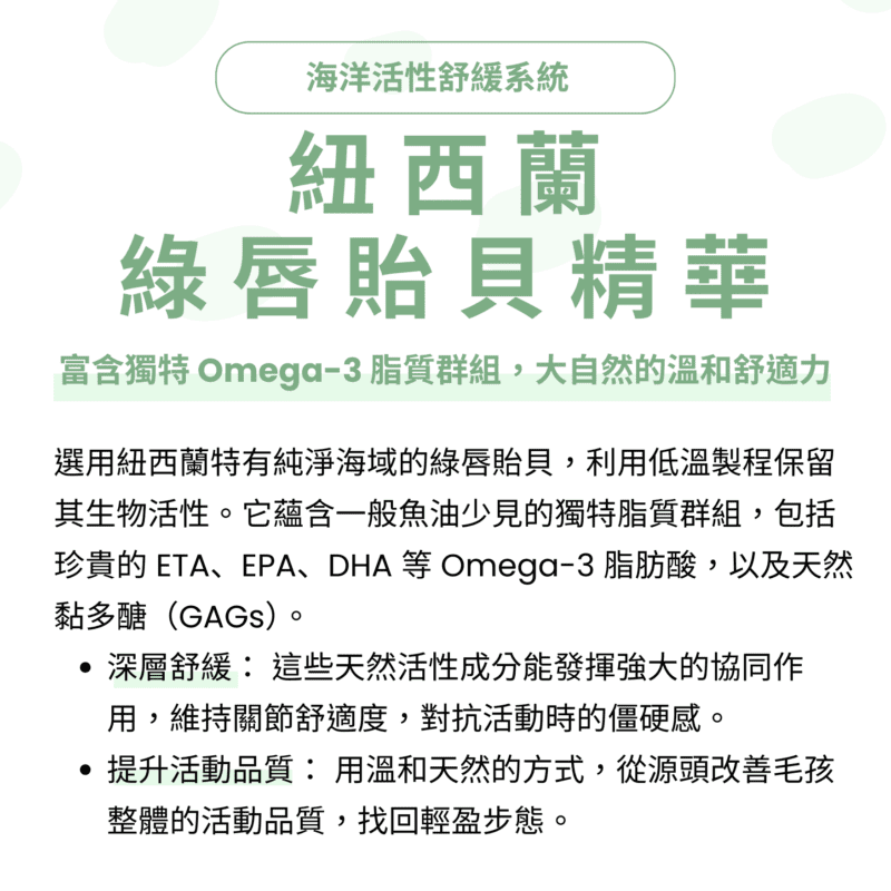 紐西蘭綠貽貝寵物營養：富含Omega-3與黏多醣，日常輔助找回輕盈步態