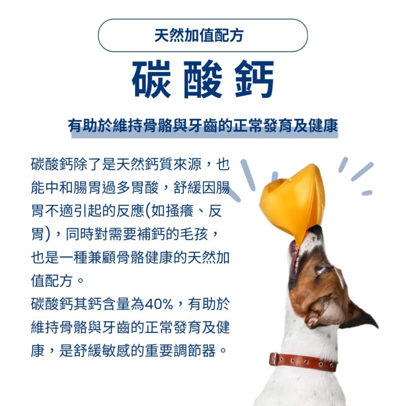 天然碳酸鈣添加：維持骨骼牙齒健康，提供全方位營養支持。