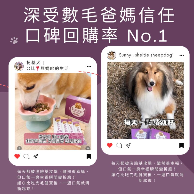 毛健寶口齒清新保健粉飼主討論回饋擷圖