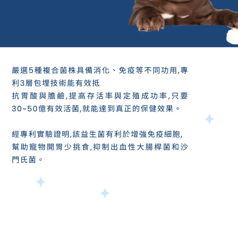 嚴選 5 種複合菌株：專利實驗證明能幫助毛孩開胃並維持菌叢平衡。