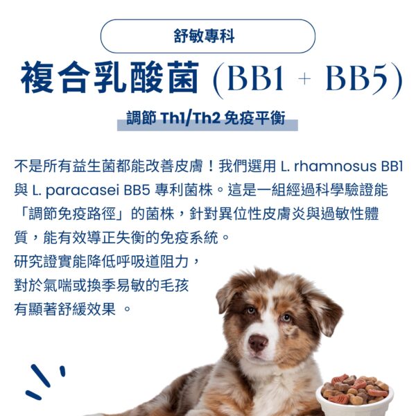 寵物益生菌推薦：使用專利 L. rhamnosus BB1 與 L. paracasei BB5 菌株，科學證實能調節 Th1/Th2 免疫路徑，適合季節易敏、皮膚困擾或呼吸道較敏感的毛孩，幫助維持免疫平衡與舒緩效果。