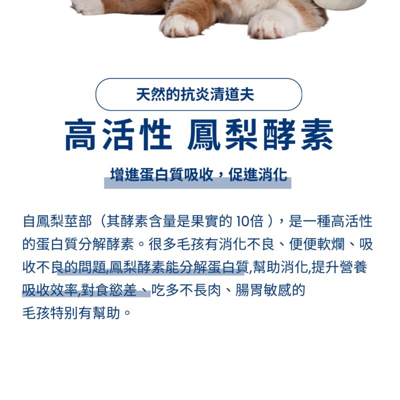高活性鳳梨酵素：幫助蛋白質分解與消化，提升營養吸收率。