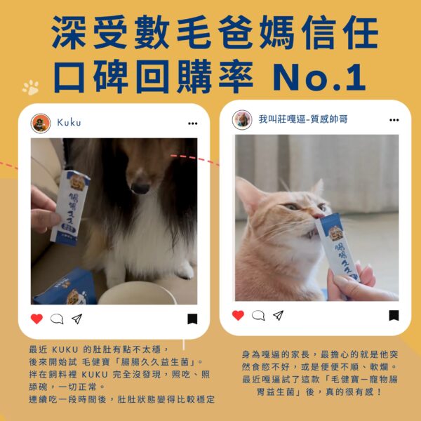 深受數毛爸媽信任口碑回購率No.1,腸腸久久益生菌真實飼主評價