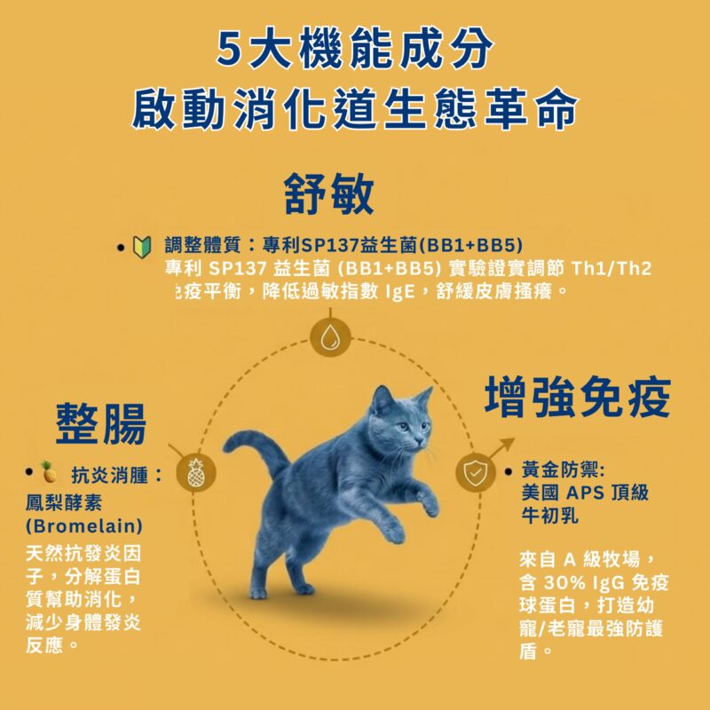 5 大成分解析：專利 SP137、鳳梨酵素與美國 APS 牛初乳支持免疫力。