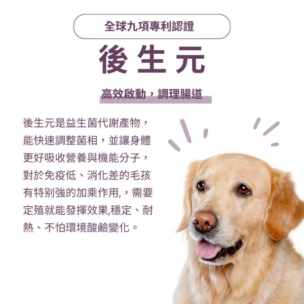 寵物口腔益生菌推薦》全球九項專利後生元,高效調理腸道與口腔菌相 寵物口腔益生菌推薦,內含全球九項專利認證後生元。作為益生菌代謝產物,能快速調整菌相並提升免疫力,是改善狗狗貓咪口臭方法中穩定耐熱的核心成分。結合專利 K12 貓狗口腔益生菌與犬貓口腔健康後生元配方,全方位加強寵物牙齦紅腫保健補充。