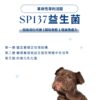 寵物益生菌推薦：詳細解析專利 SP137 活菌的三層包埋結構。包含第一層穩定包埋、第二層醣質層提高胃酸存活率及第三層抗氧化層，有效提高寵物消化代謝與免疫力。