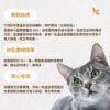 10倍濃縮鱉蛋粉推薦:堅持無殼純肉製程,安全安心的貓狗掉毛改善保健品 寵物爆毛粉推薦,採用10倍濃縮鱉蛋粉去殼製程,確保無雜質污染。適合貓狗掉毛改善保健品,深海魚油寵物皮膚護理配方,PTT Dcard好評毛孩皮毛滋養亮澤首選。
