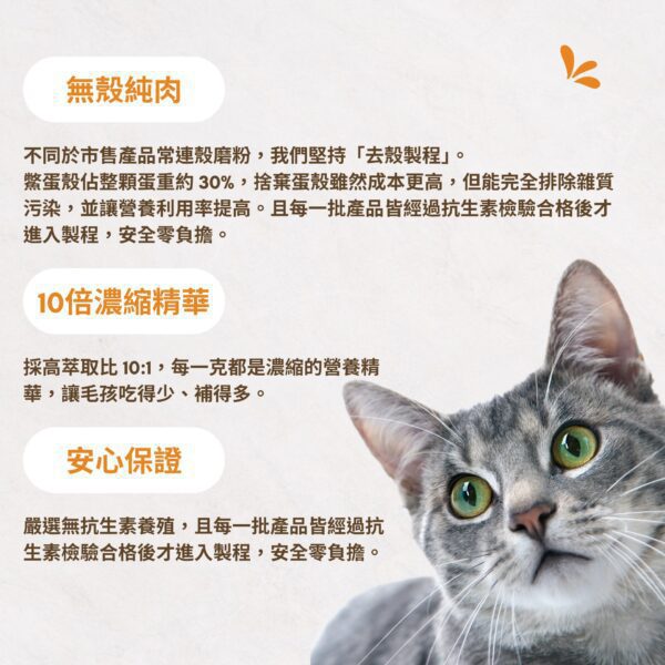10倍濃縮鱉蛋粉推薦:堅持無殼純肉製程,安全安心的貓狗掉毛改善保健品 寵物爆毛粉推薦,採用10倍濃縮鱉蛋粉去殼製程,確保無雜質污染。適合貓狗掉毛改善保健品,深海魚油寵物皮膚護理配方,PTT Dcard好評毛孩皮毛滋養亮澤首選。