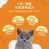 8合1寵物爆毛粉推薦:嚴選10倍濃縮鱉蛋粉與深海魚油,全方位皮毛滋養亮澤 寵物爆毛粉推薦 8合1全效配方,含 10倍濃縮鱉蛋粉、深海魚油寵物皮膚護理成分。針對貓狗掉毛改善保健品,PTT Dcard 好評毛孩皮毛滋養亮澤配方。