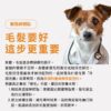 獸醫師推薦寵物爆毛粉:10倍濃縮鱉蛋粉從根源改善貓狗掉毛問題 寵物爆毛粉推薦,獸醫師說明貓狗掉毛改善保健品原理。含有10倍濃縮鱉蛋粉與毛孩皮毛滋養亮澤配方,PTT Dcard好評深海魚油寵物皮膚護理首選。