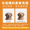 爆毛粉 PTT Dcard 好評見證:7天告別稀疏,重拾貓狗毛髮蓬鬆亮澤感 寵物爆毛粉推薦真實對比,告別毛髮稀疏乾枯。含 10倍濃縮鱉蛋粉與深海魚油寵物皮膚護理成分,有效改善貓狗掉毛。爆毛粉 PTT Dcard 好評毛孩皮毛滋養亮澤配方。