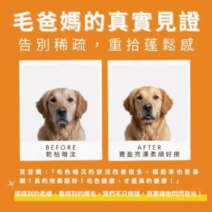 寵物爆毛粉推薦真實對比，告別毛髮稀疏乾枯。含 10倍濃縮鱉蛋粉與深海魚油寵物皮膚護理成分，有效改善貓狗掉毛。爆毛粉 PTT Dcard 好評毛孩皮毛滋養亮澤配方。
