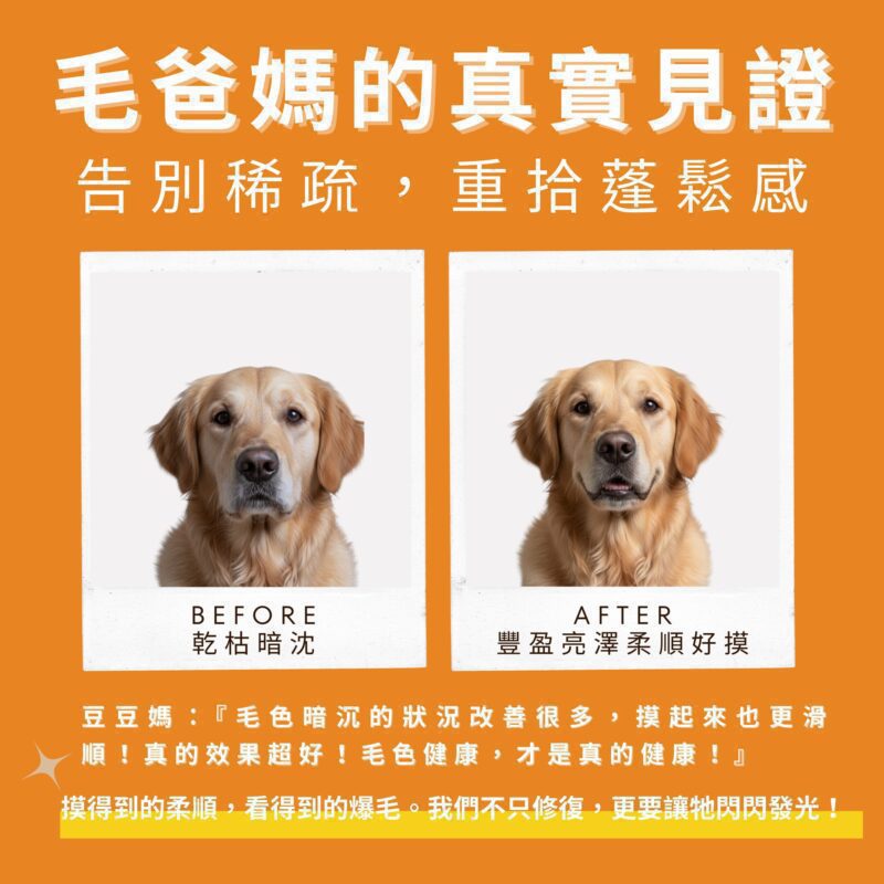 毛孩補充前後的毛髮狀態對比示意圖