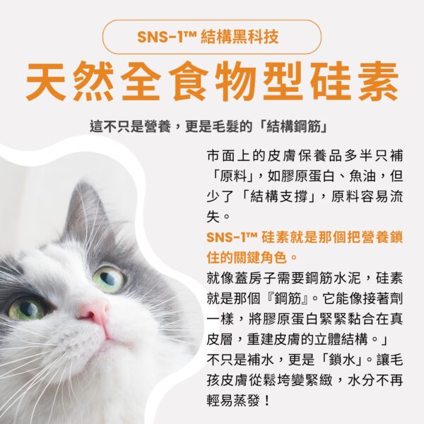 天然全食物型硅素黑科技,強化毛孩皮毛滋養亮澤配方 寵物爆毛粉推薦,含天然全食物型硅素,為毛髮提供結構支撐。搭配10倍濃縮鱉蛋粉與深海魚油寵物皮膚護理,改善貓狗掉毛乾癢,爆毛粉 PTT Dcard 好評毛孩皮毛滋養亮澤首選。